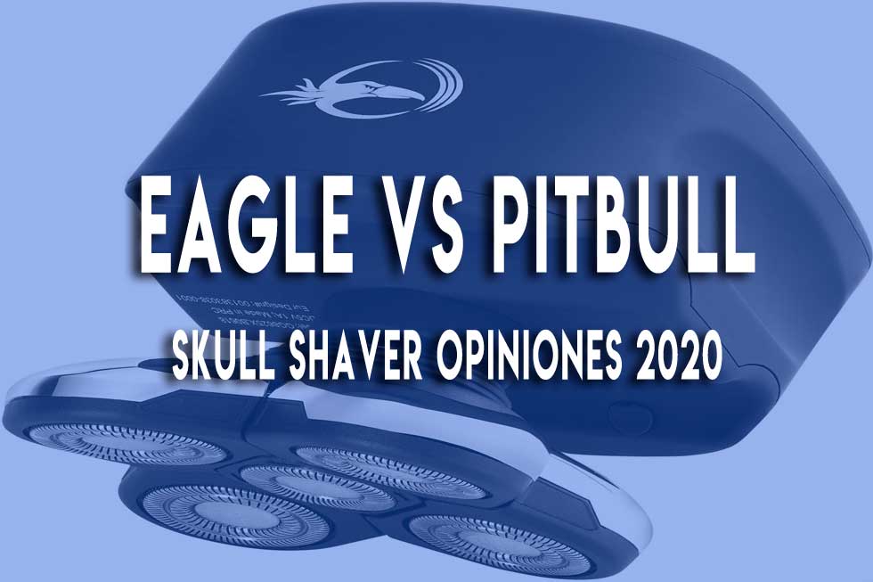 eagle-vs-pitbull