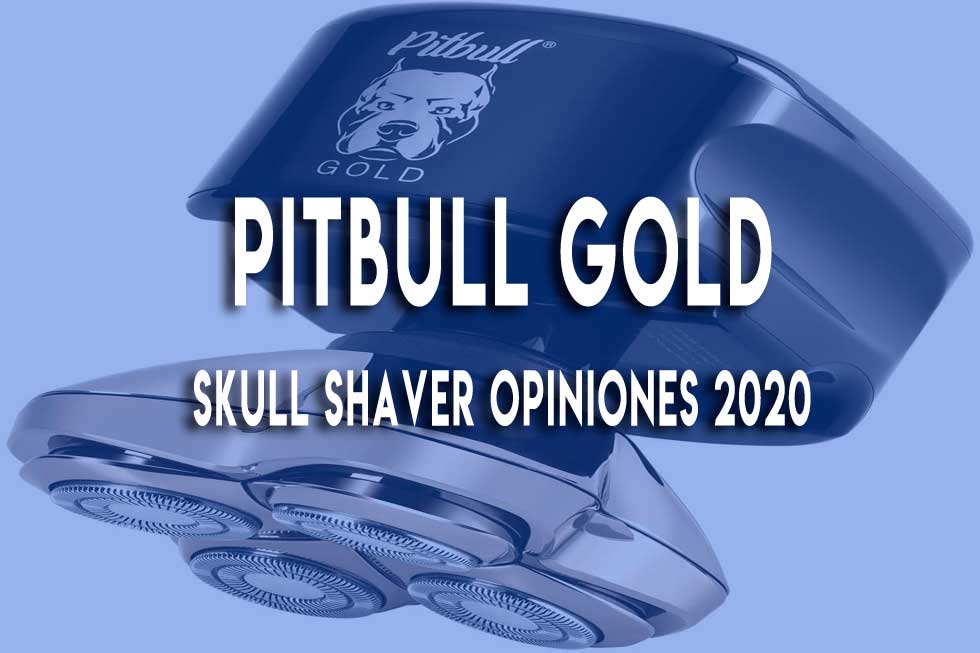 pitbull-gold
