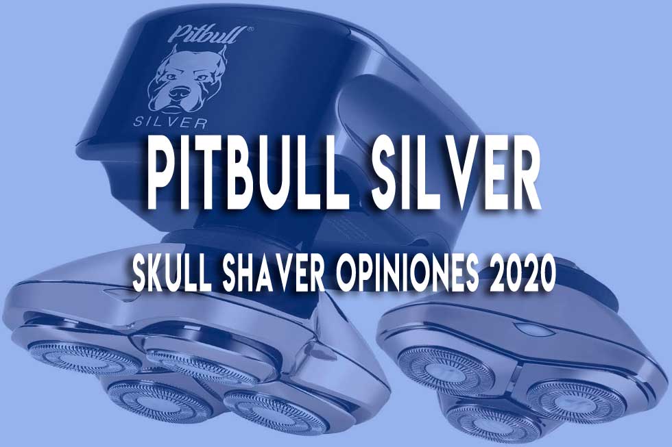 pitbull-silver